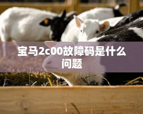 宝马2c00故障码是什么问题