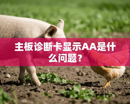 主板诊断卡显示AA是什么问题？