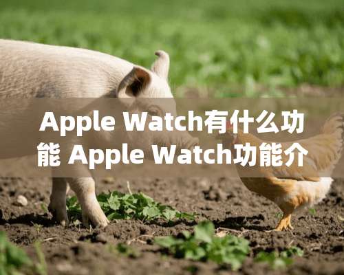 Apple Watch有什么功能 Apple Watch功能介绍