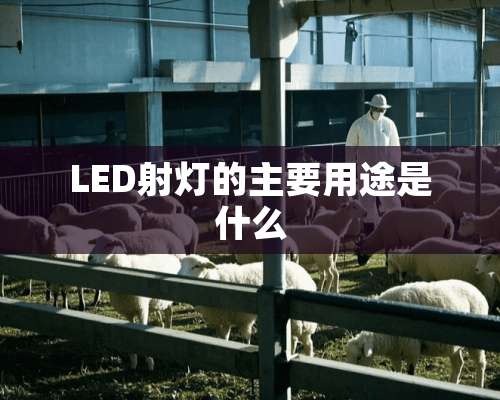 LED射灯的主要用途是什么