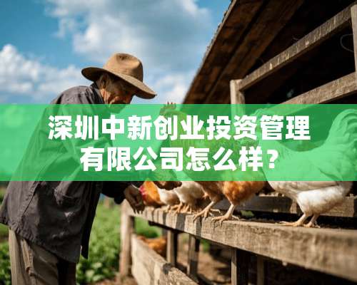 深圳中新创业投资管理有限公司怎么样？