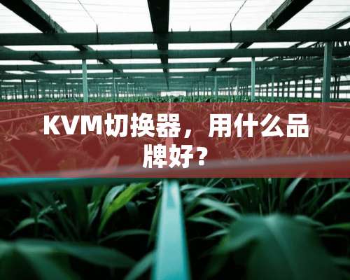 KVM切换器，用什么品牌好？