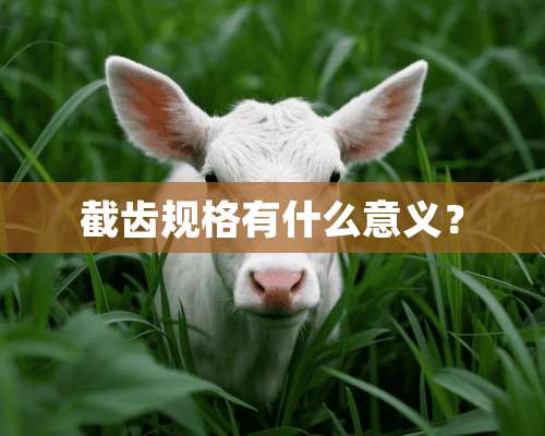 截齿规格有什么意义？