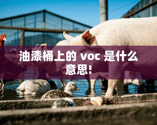 油漆桶上的 voc 是什么意思!