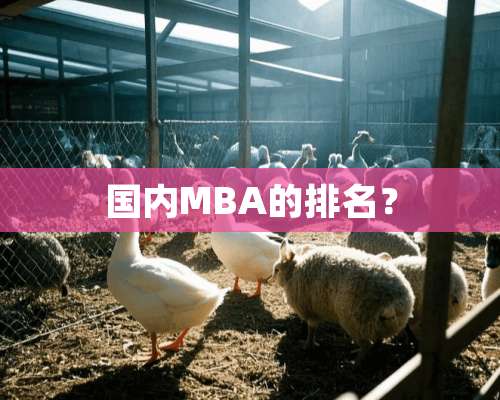 国内MBA的排名？