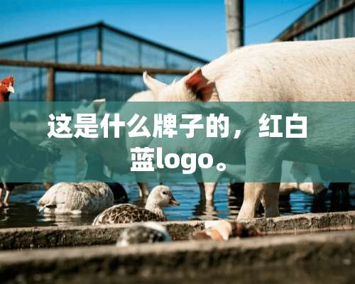 这是什么牌子的，红白蓝logo。