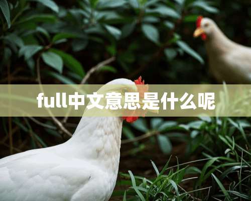 full中文意思是什么呢