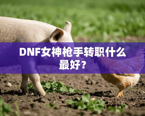 DNF女神*手转职什么最好？