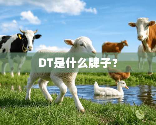 DT是什么牌子？