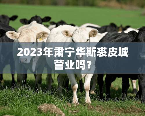 2023年肃宁华斯裘皮城营业吗？