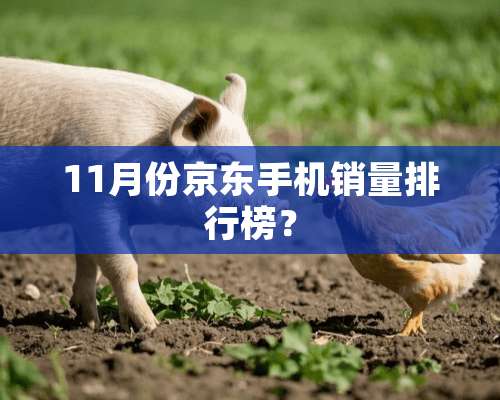 11月份京东手机销量排行榜？