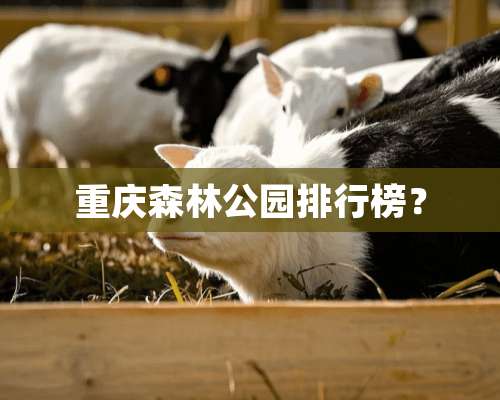 重庆森林公园排行榜？