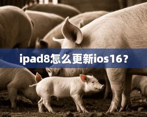 ipad8怎么更新ios16？