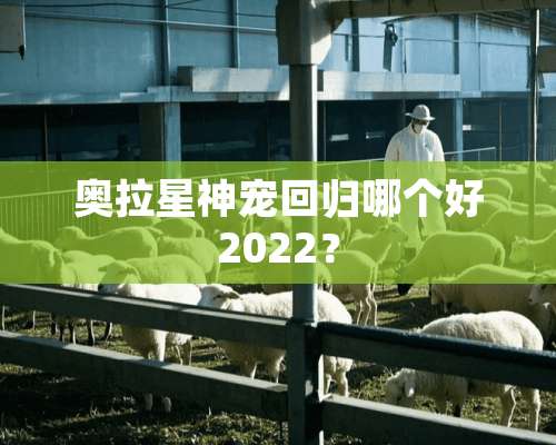 奥拉星神宠回归哪个好2022？