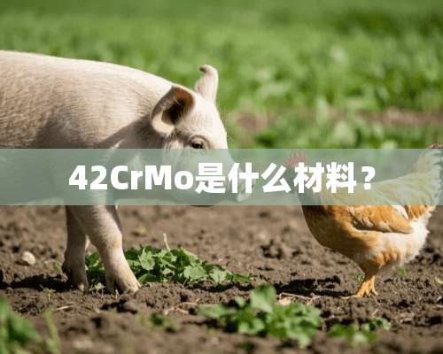 42CrMo是什么材料？