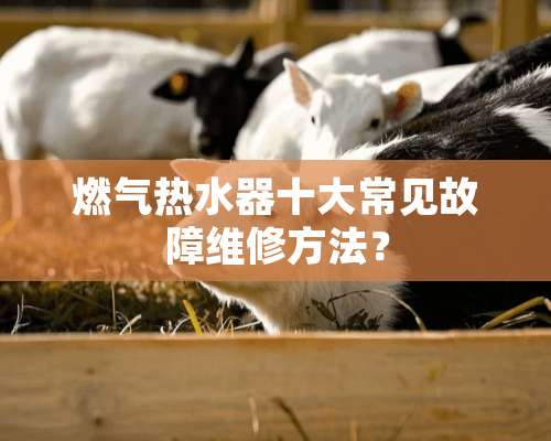 燃气热水器十大常见故障维修方法？