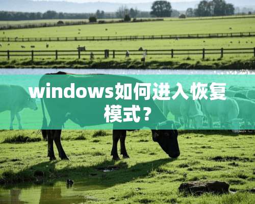 windows如何进入恢复模式？