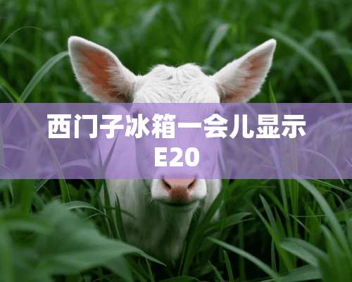 西门子冰箱一会儿显示E20