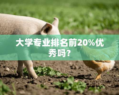 大学专业排名前20%优秀吗？