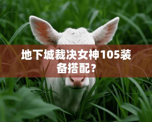 **城裁决女神105装备搭配？