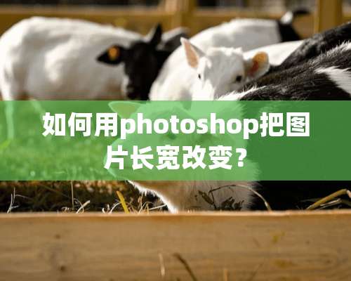 如何用photoshop把图片长宽改变？