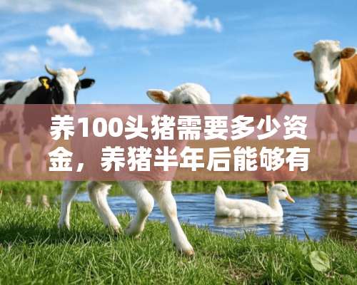 养100头猪需要多少资金，养猪半年后能够有多少利润？