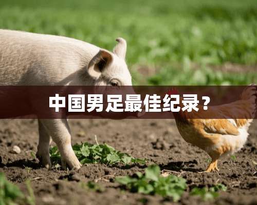 中国男足最佳纪录？