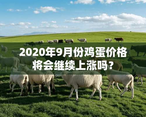 2020年9月份鸡蛋价格将会继续上涨吗？