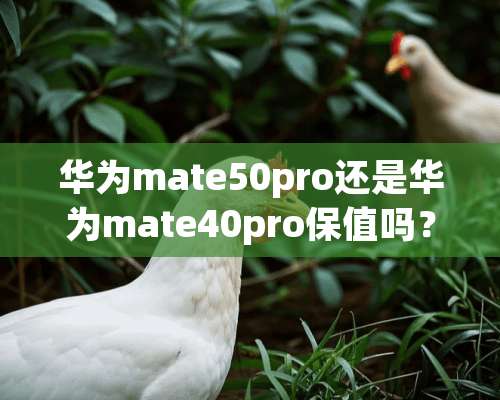 华为mate50pro还是华为mate40pro保值吗？