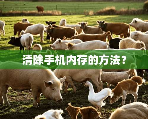 清除手机内存的方法？