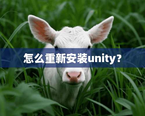 怎么重新安装unity？