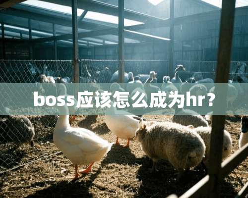 boss应该怎么成为hr？