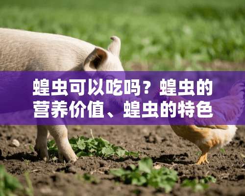 蝗虫可以吃吗？蝗虫的营养价值、蝗虫的特色吃法