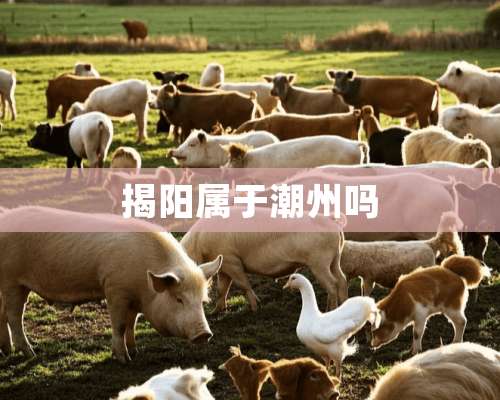 揭阳属于潮州吗