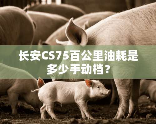 长安CS75百公里油耗是多少手动档？