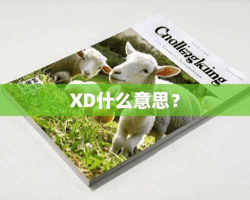 XD什么意思？