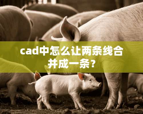 cad中怎么让两条线合并成一条？