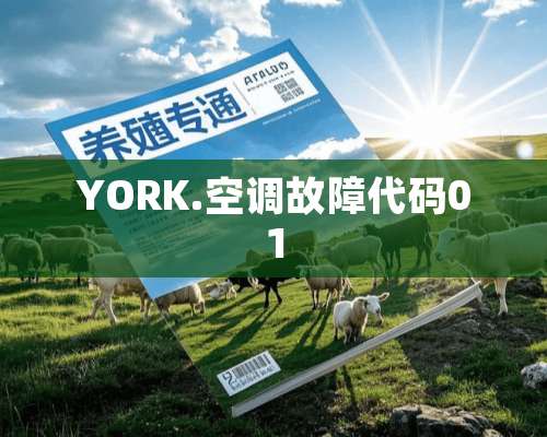 YORK.空调故障代码01