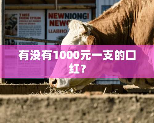 有没有1000元一支的口红？