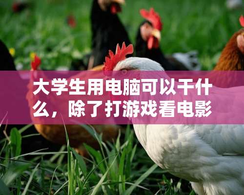 大学生用电脑可以干什么，除了打游戏看电影。