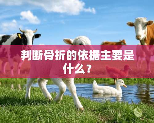 判断骨折的依据主要是什么？