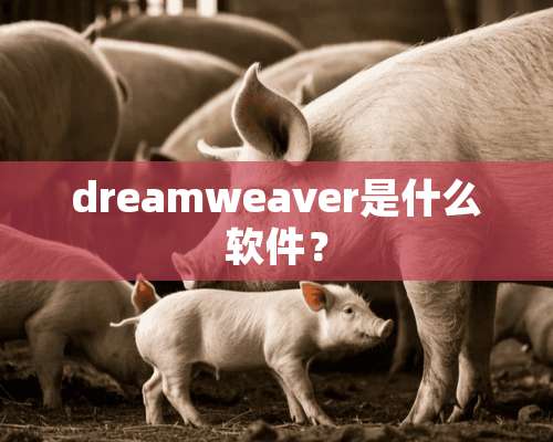 dreamweaver是什么软件？