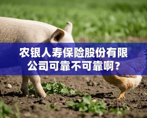 农银人寿保险股份有限公司可靠不可靠啊？