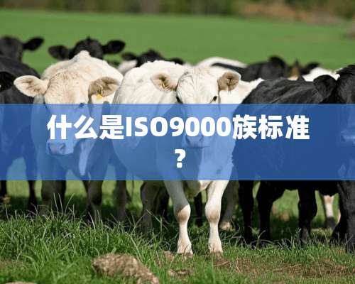 什么是ISO9000族标准？