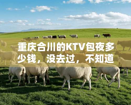 重庆合川的KTV**多少钱，没去过，不知道？