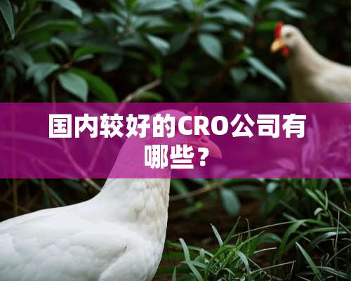 国内较好的CRO公司有哪些？