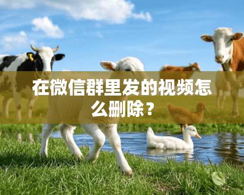 在微信群里发的视频怎么删除？