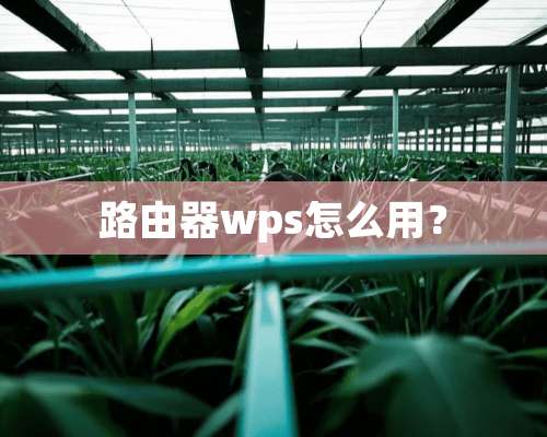 路由器wps怎么用？