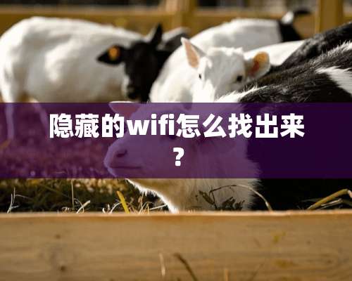 隐藏的wifi怎么找出来？