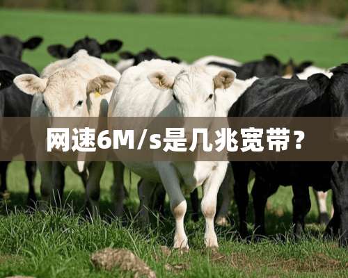 网速6M/s是几兆宽带？